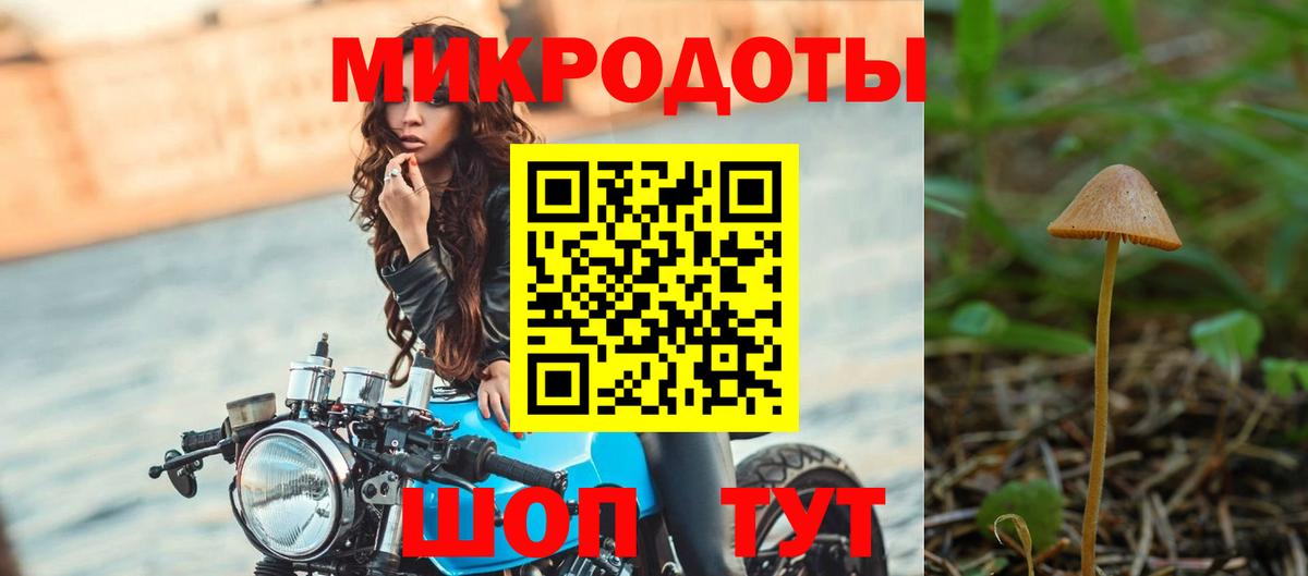 Галлюциногенные грибы Psilocybine cubensis  Псилоцибиновые грибы MAGIC MUSHROOMS  Вход с VPN  Назрань 